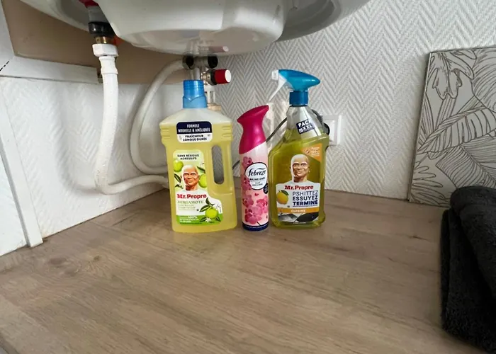 Apartment La Chamalieroise - 4 Pers - Wifi - Proche Centre Clermont Ferrand